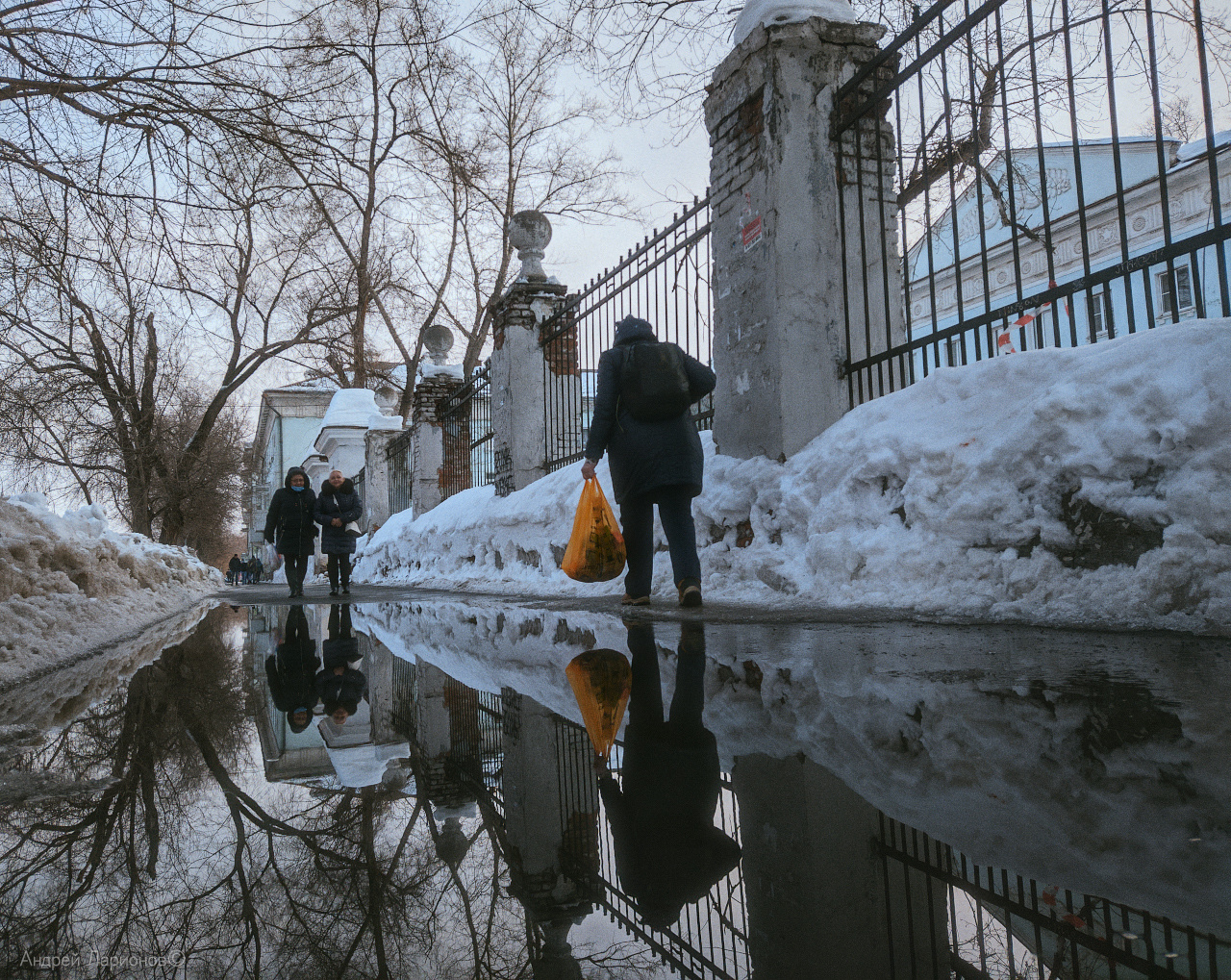 *** март снег лужа