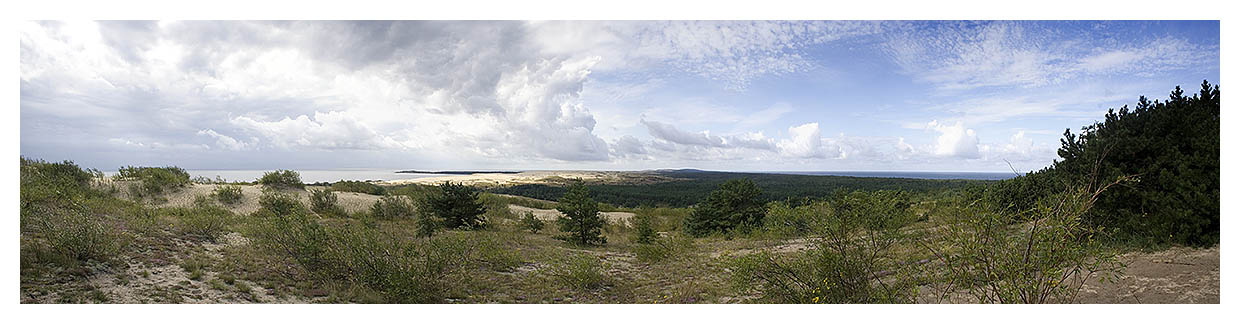 Куршская коса куршская коса Литва дюны песок панорама