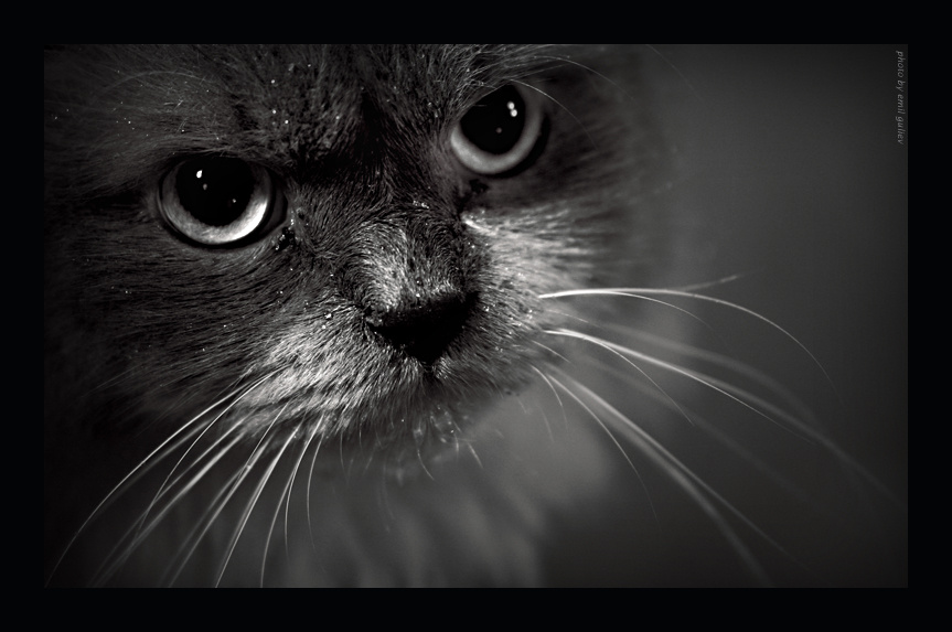angry 