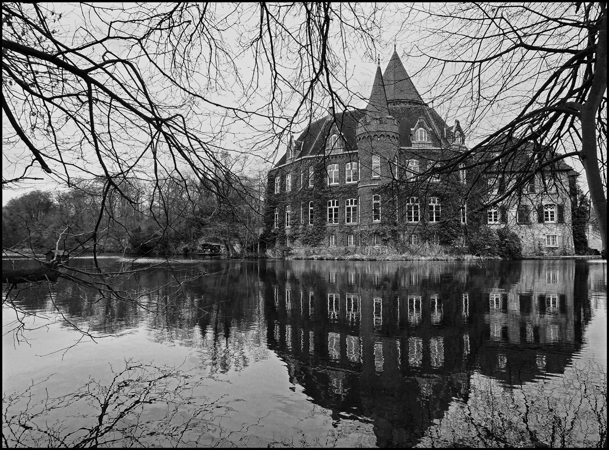 Linnep 