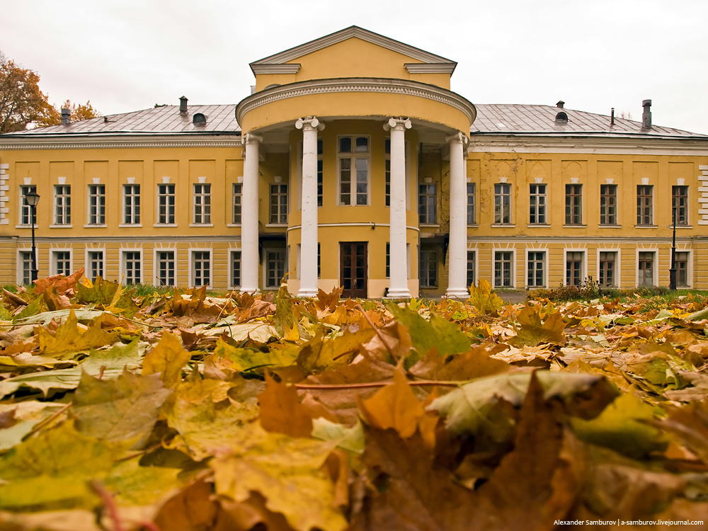Суханово. Осень суханово осень