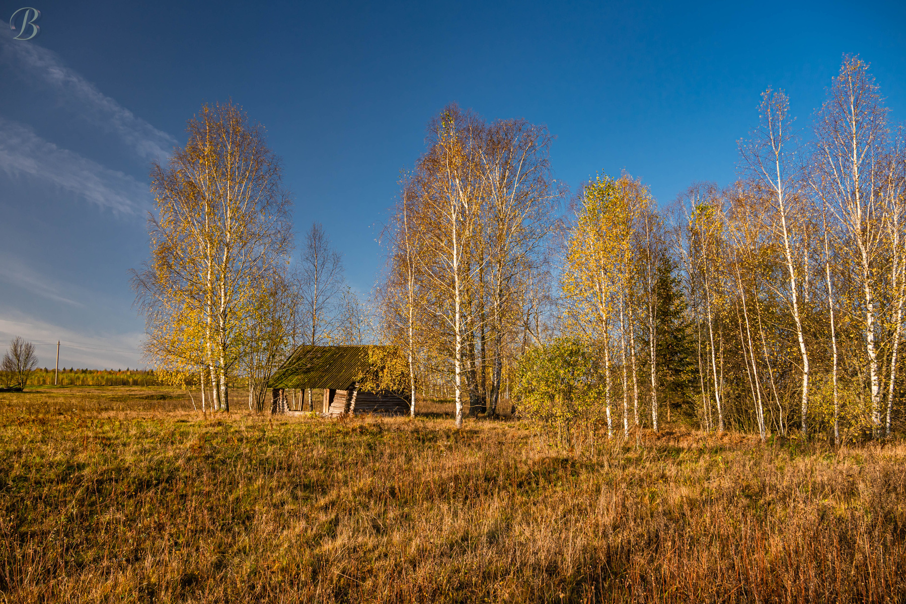 Осень. 