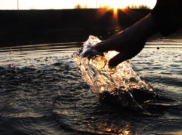 Повелитель воды! вода, солнце, пруд, руки