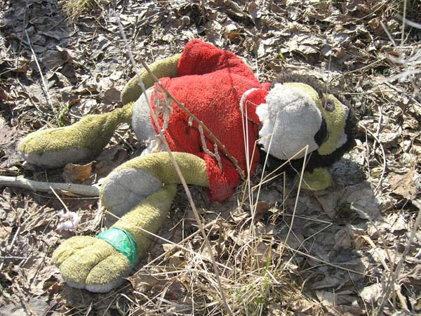 Куда уходит детство? детство игрушка волк солнце трава