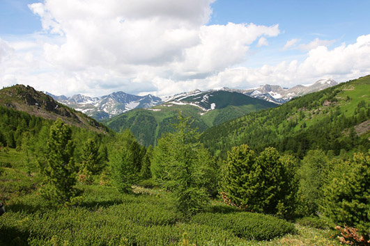 Алтай (1) 