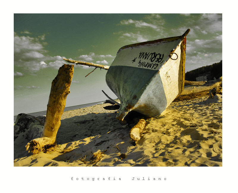 La  barca  VI 