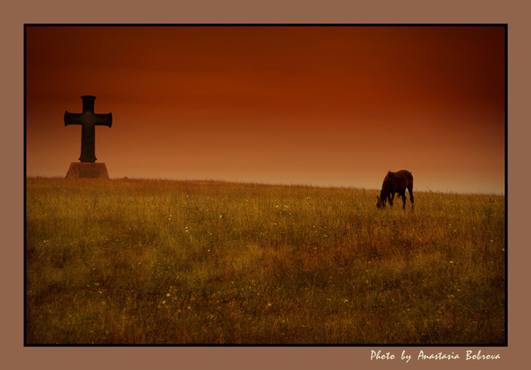 Timeless крест конь поле