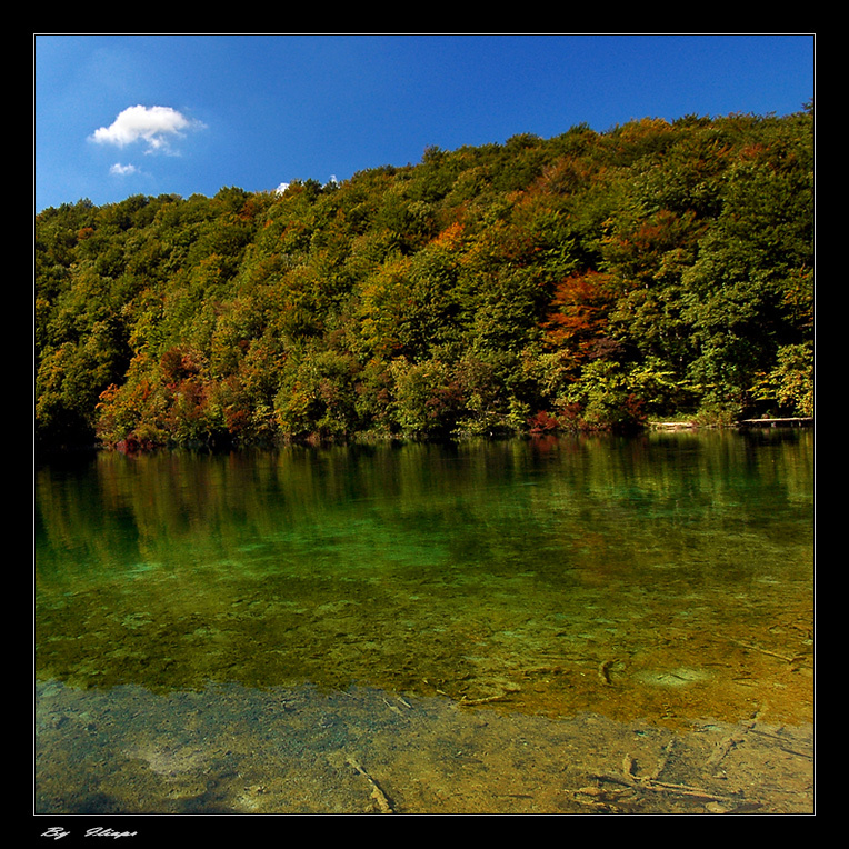 Краски осени 