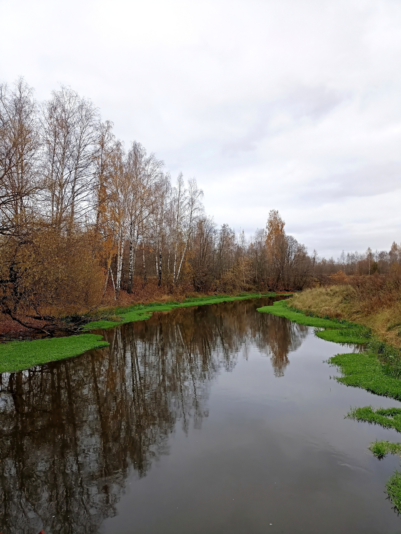 *** осень клязьма