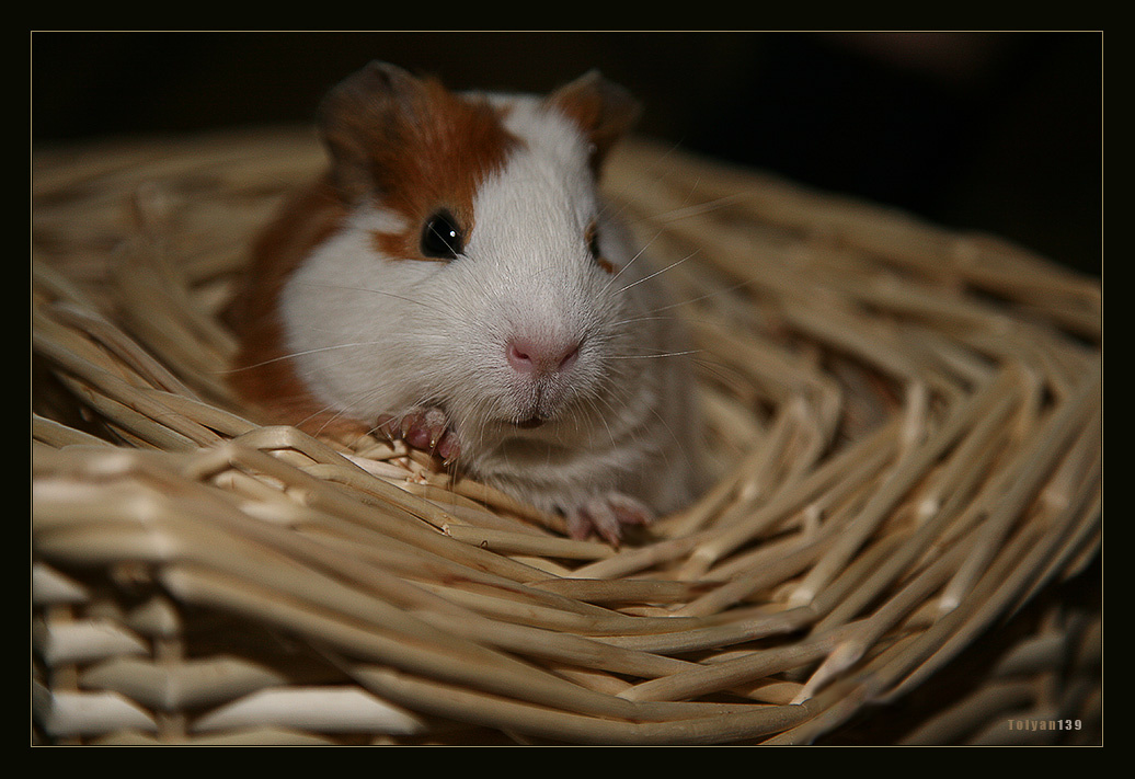 Я в домике... home sweet home