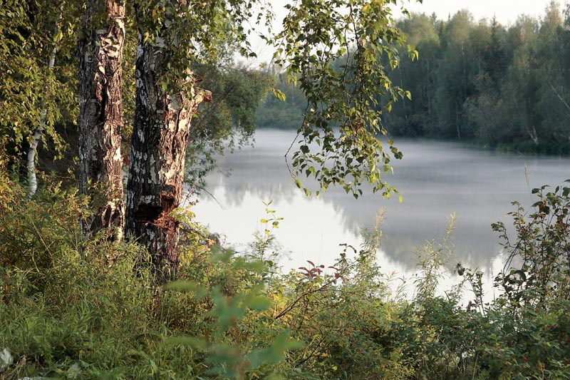 Старица 