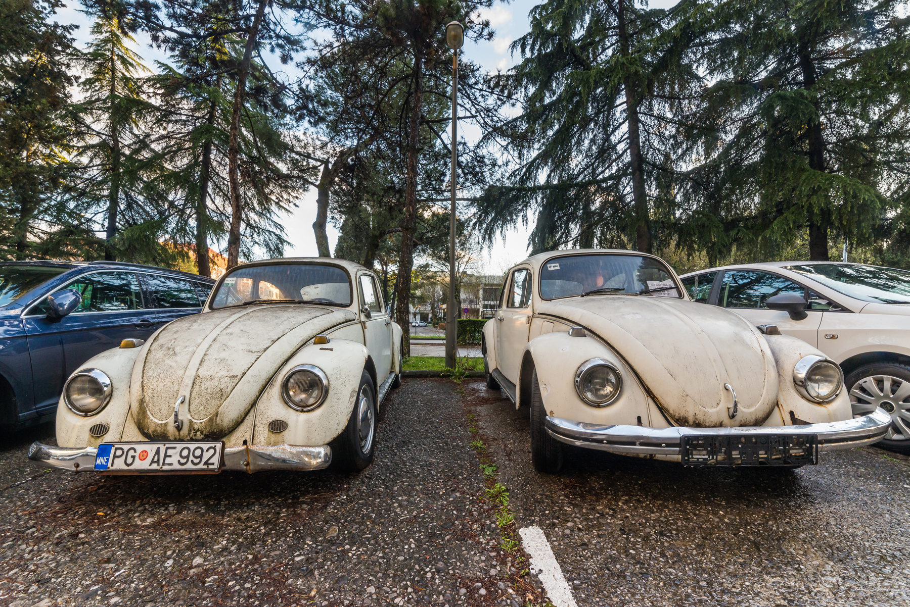 Народные старички volkswagen beetle фольксваген жук автомобиль машина ретро