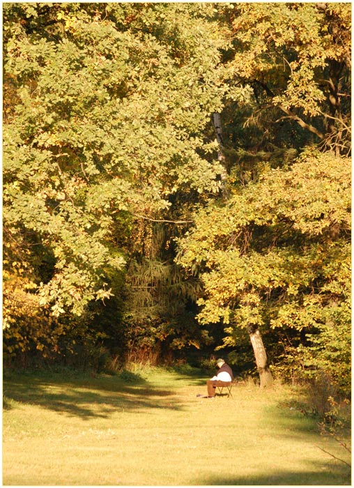 Лукоморье 