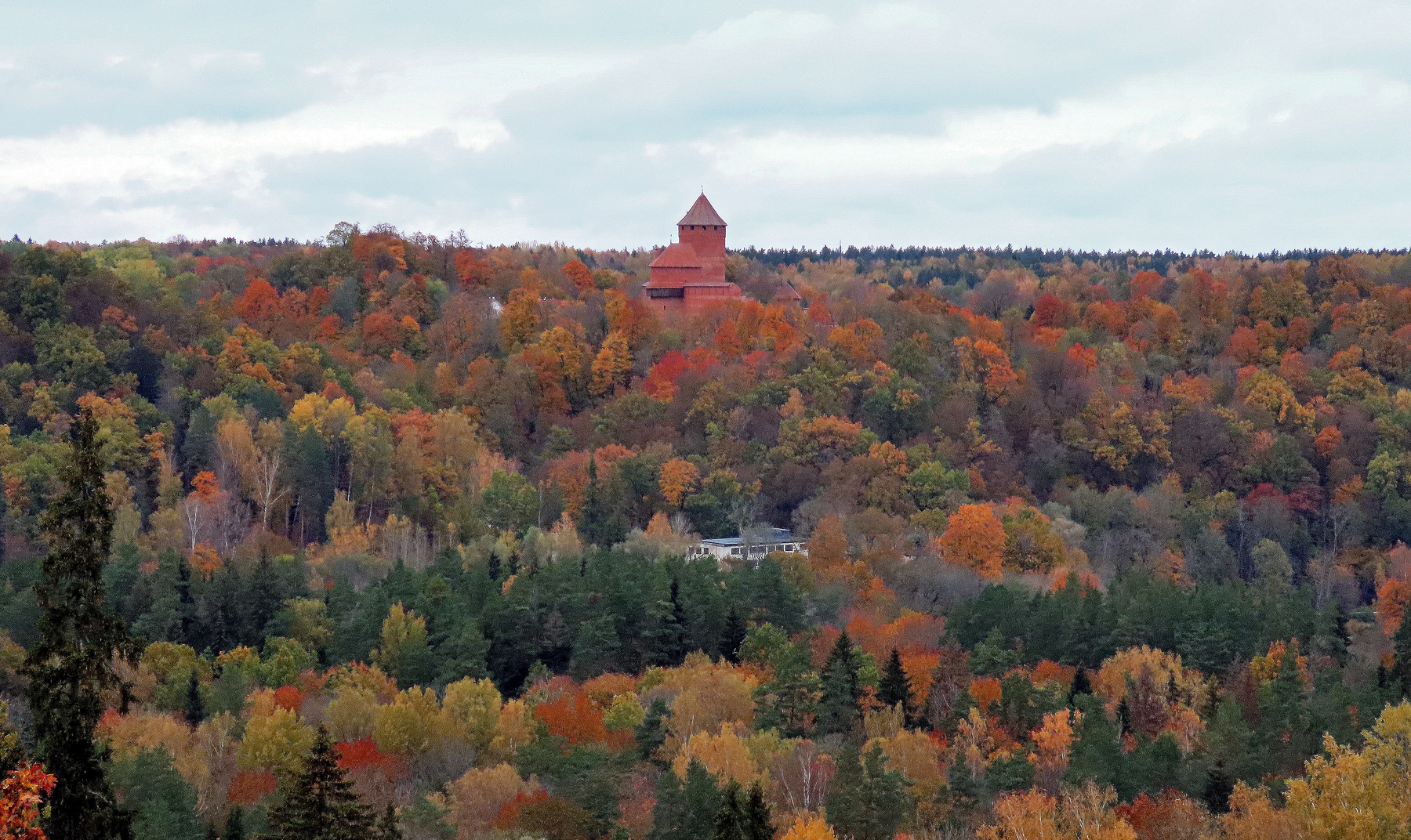 *** замок осень лес