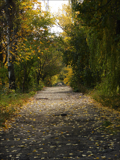 Дорожка осень, октябрь, тротуар, природа