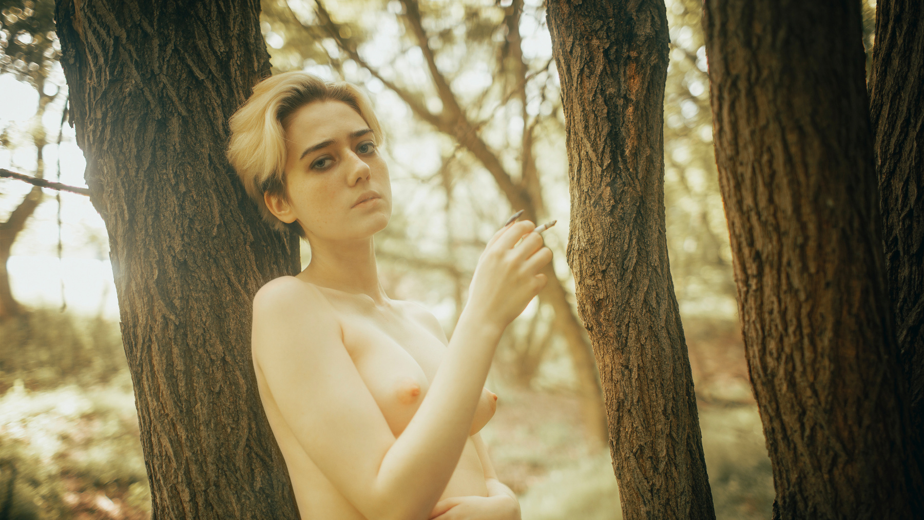 Forest 