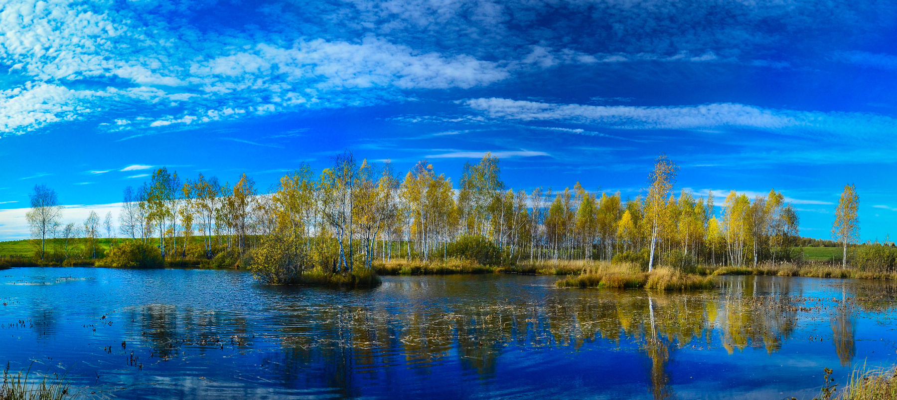 Осенняя панорама 