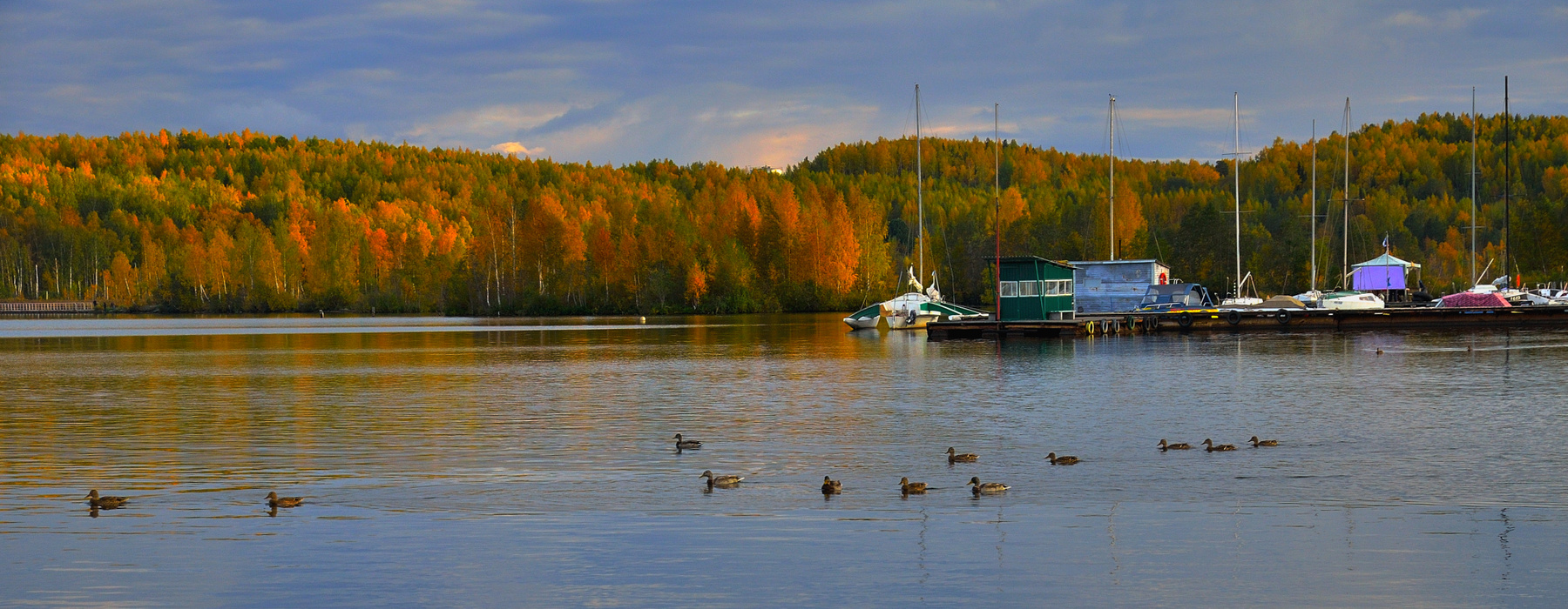 Вечерняя прогулка 