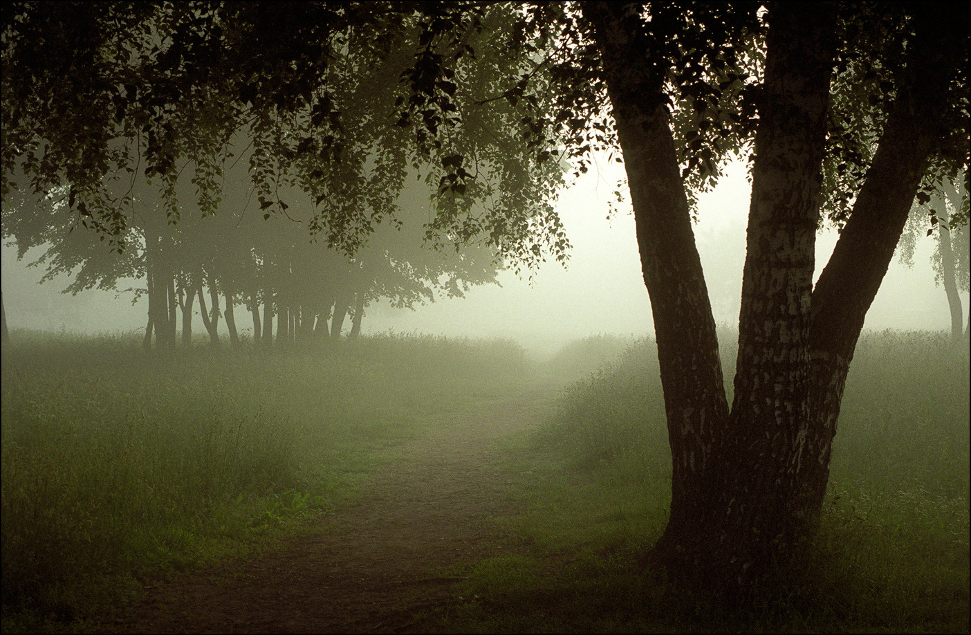 Утро в парке 