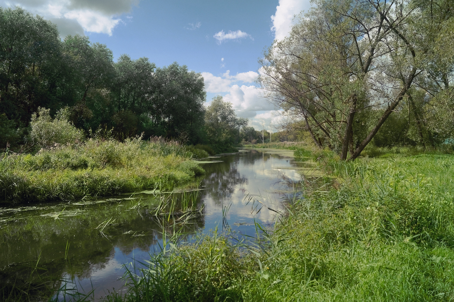 В медленной речке вода как стекло лето река