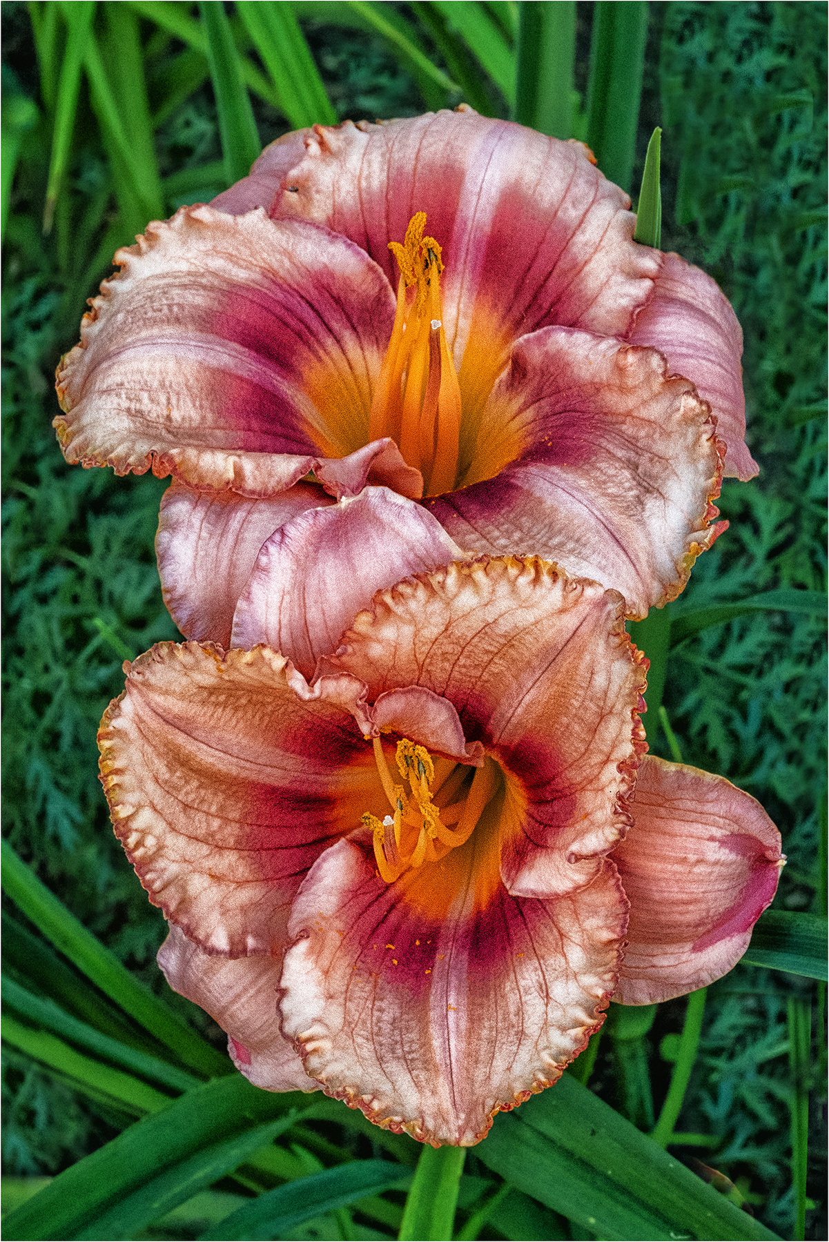 *** 