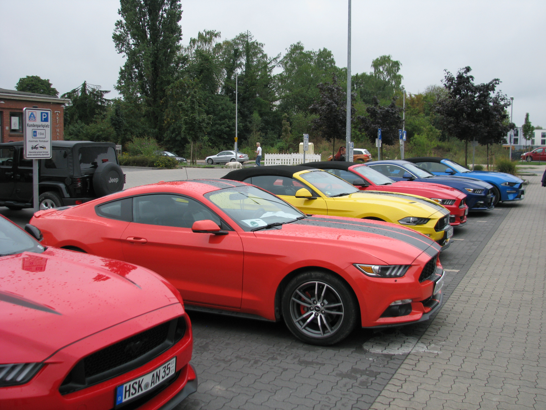 Табун "Мустангов" Ford Mustang GT