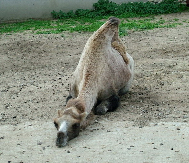 корабль у причала =))))) 
