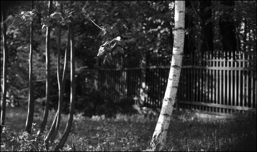 Погоня 