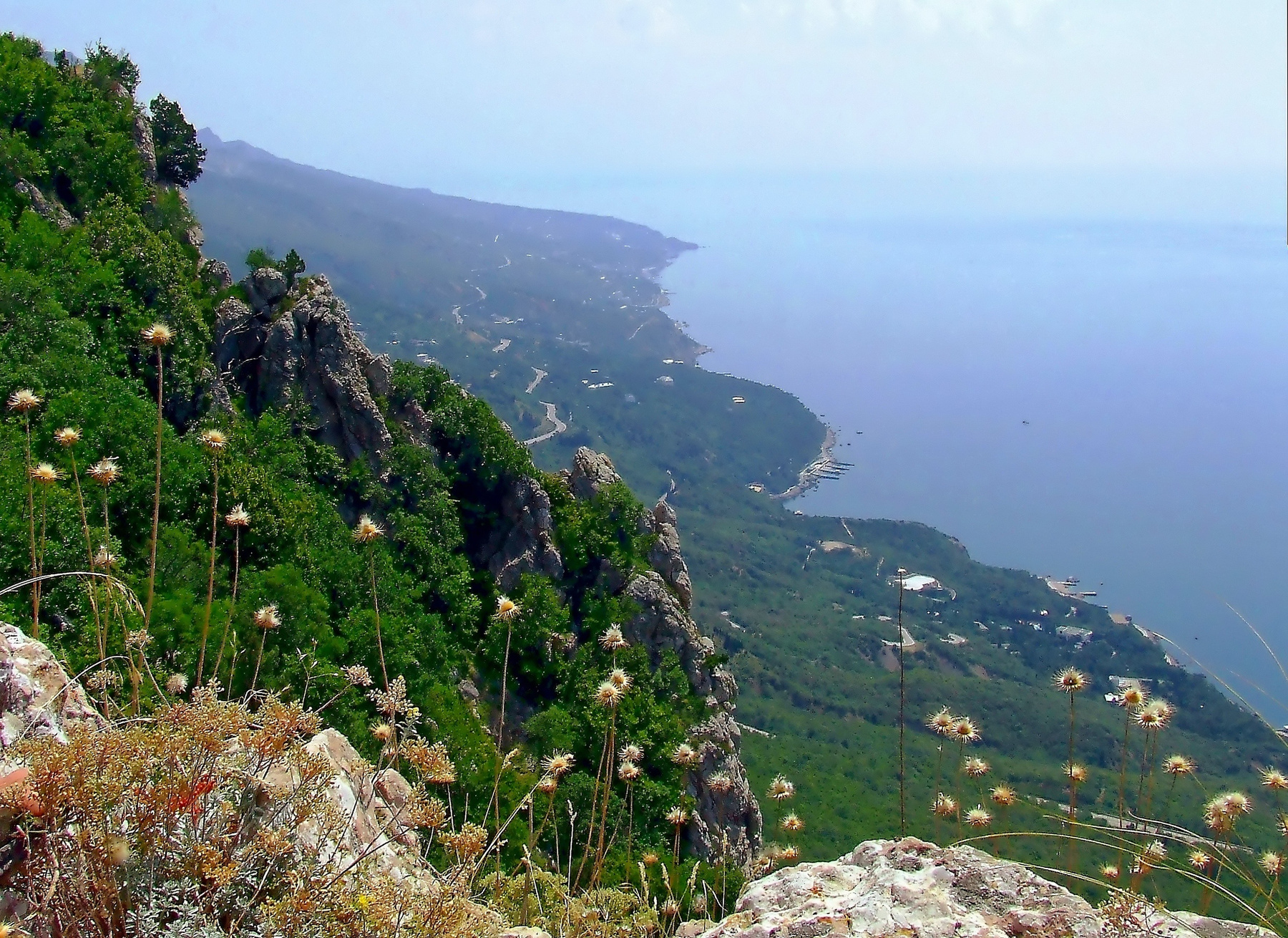 Летний день в крымских горах Крым