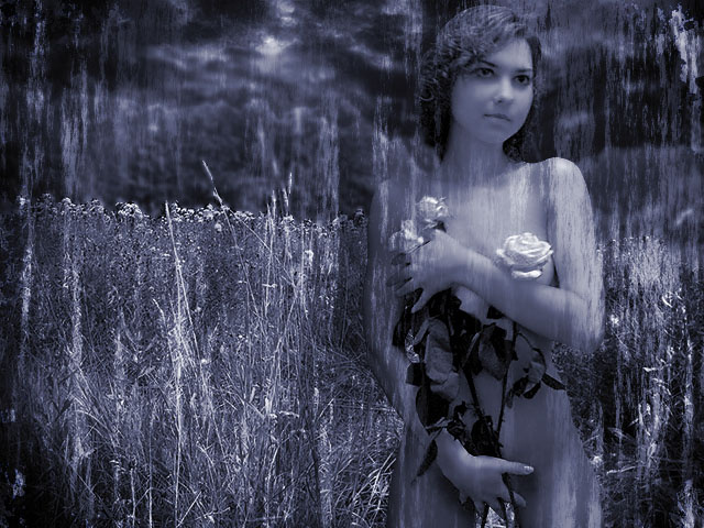 Flowers Цветы НЮ Юля