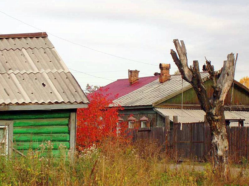 Красная цена лета Осенние краски