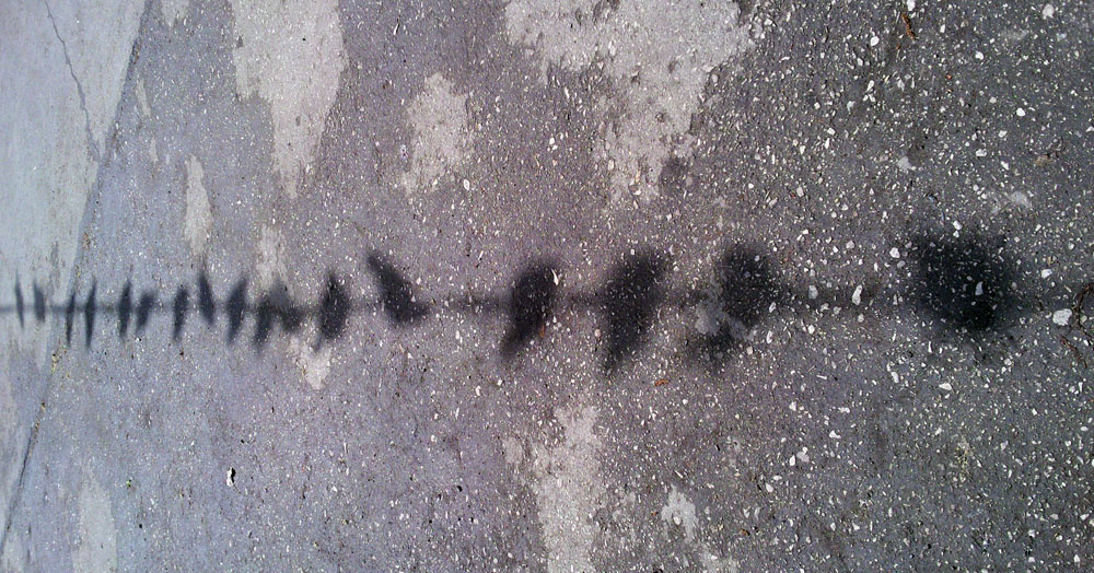 На линии огня 