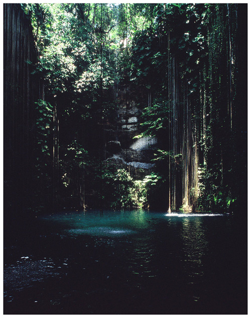 Kолодец Майя cenote Mayan Riviera