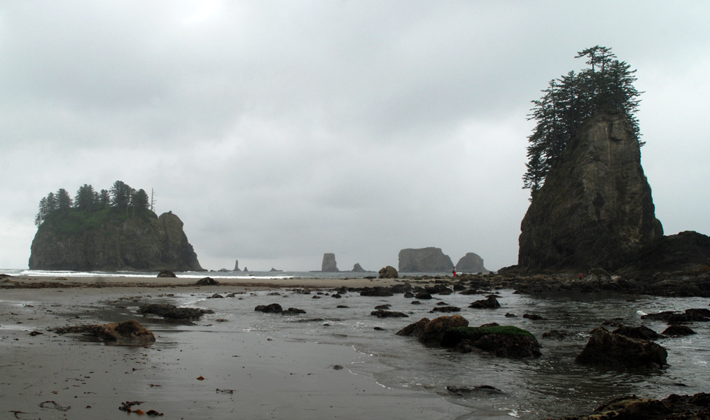 песчинка в океане La Push, Pacific ocean, WA state, Second Beach