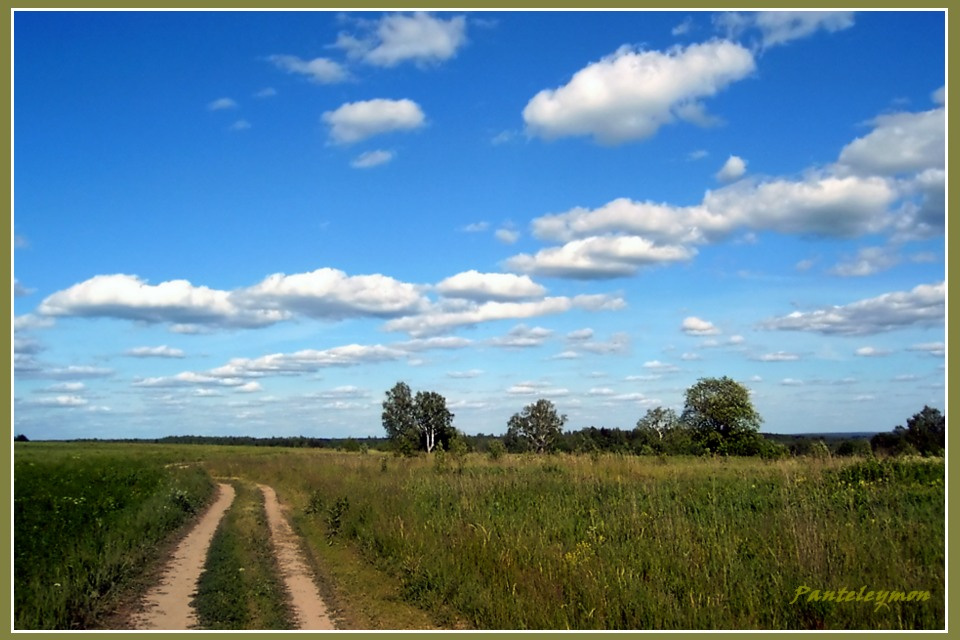 эх,дороги... пейзаж,лето,русские красоты