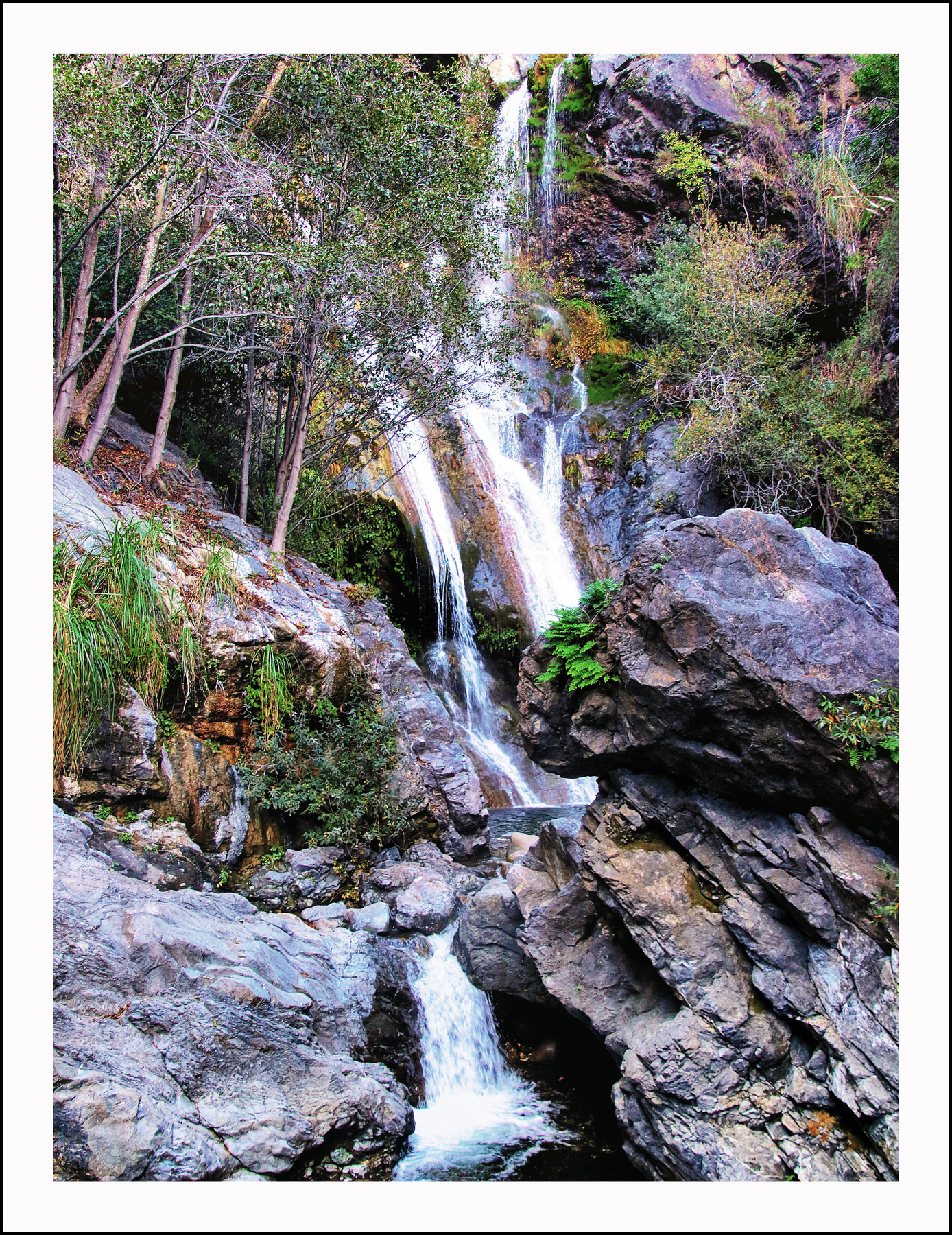 Salmon Creek Falls 