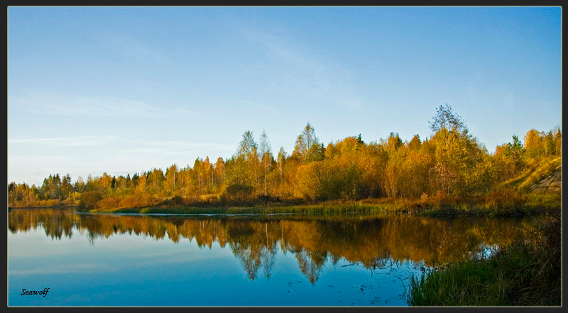 Взгляд 