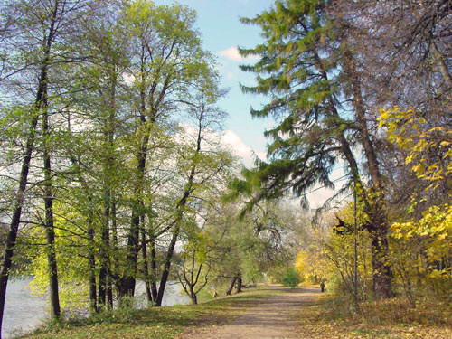 *** парк пейзаж