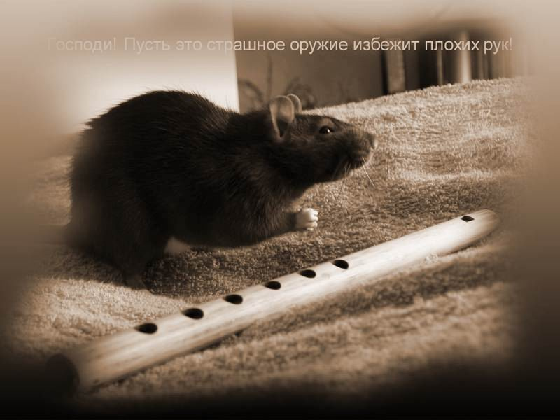 Молитва 
