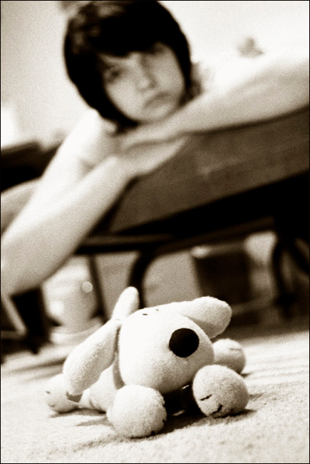 the dog 2 dog