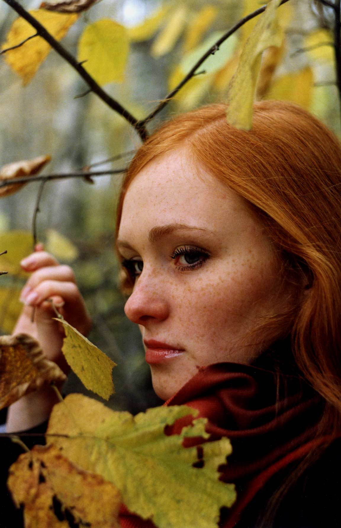fall 