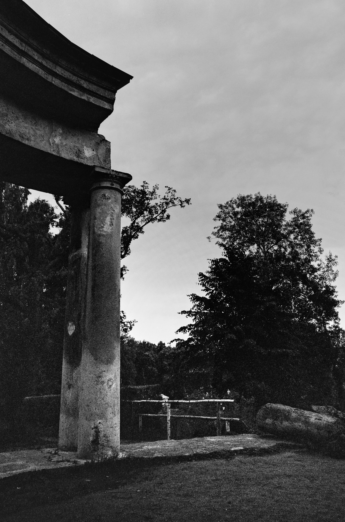 *** Павловск пленка ilford xp2 super