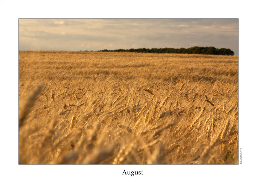 August 