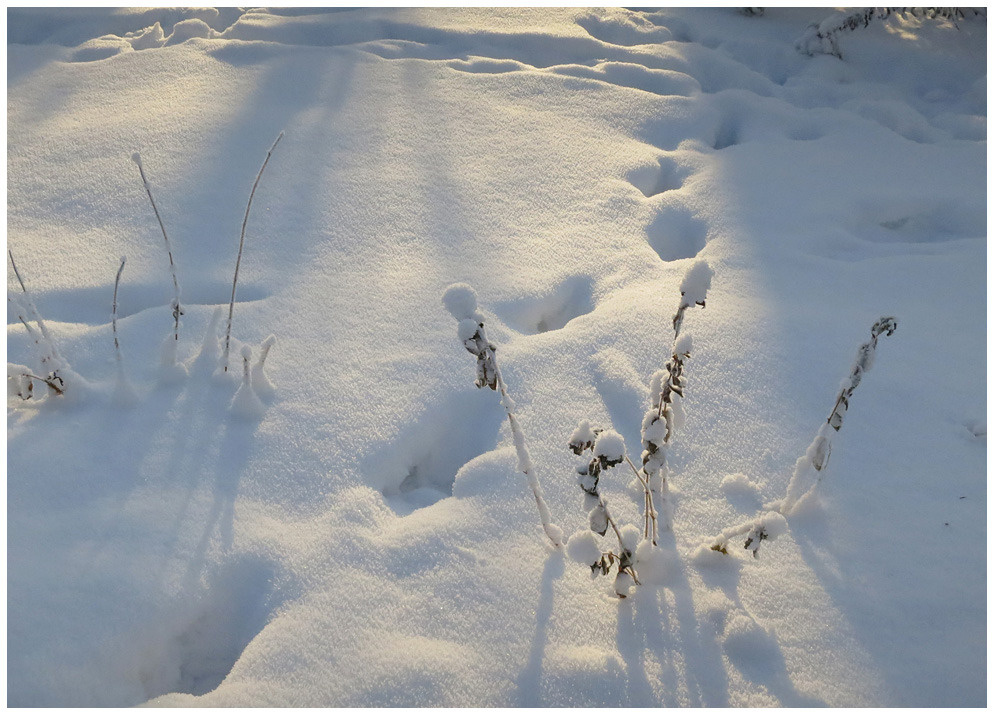 До весны ещё далеко зима снег следы