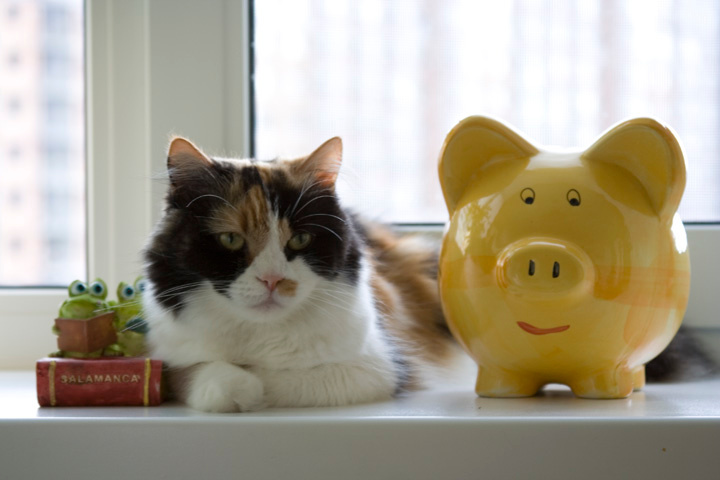 Двойняшки Кошка
