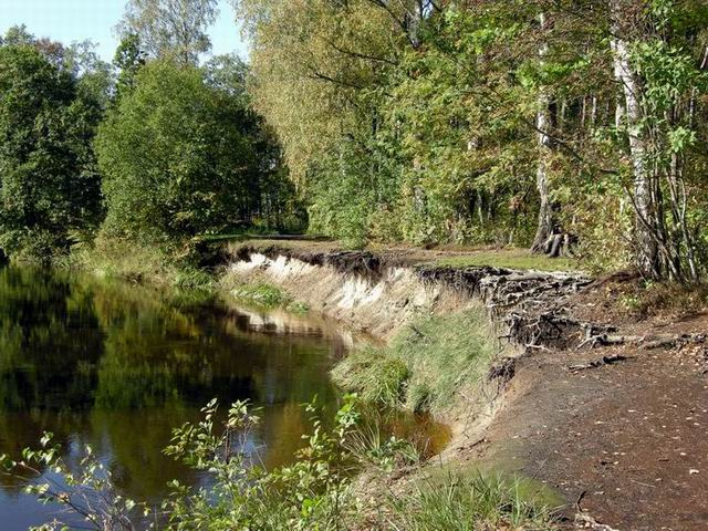Сентябрьское настроение речушка