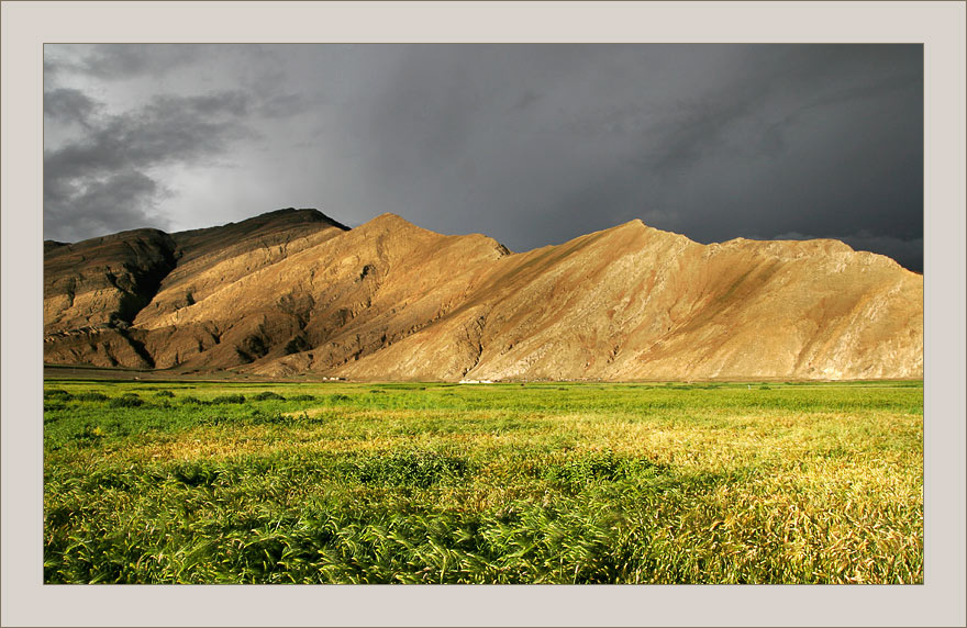 tibet [2] горы небо ячмень вечер тибет