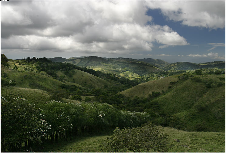 Rolling Hills landcape hills
