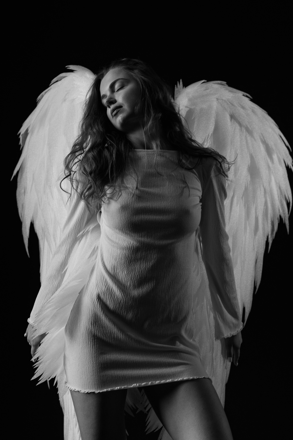 wings 
