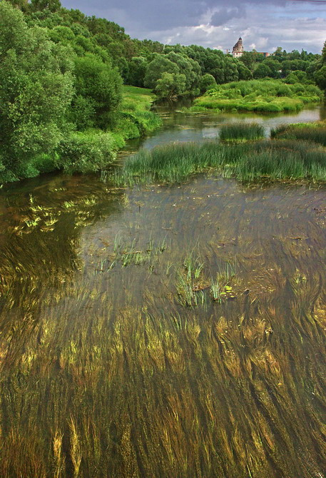 Про водоросли водоросли река Боровск